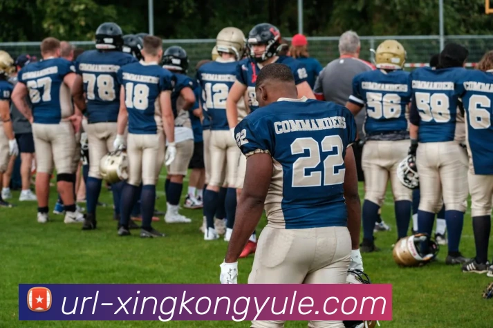 星空娱乐平台生态图