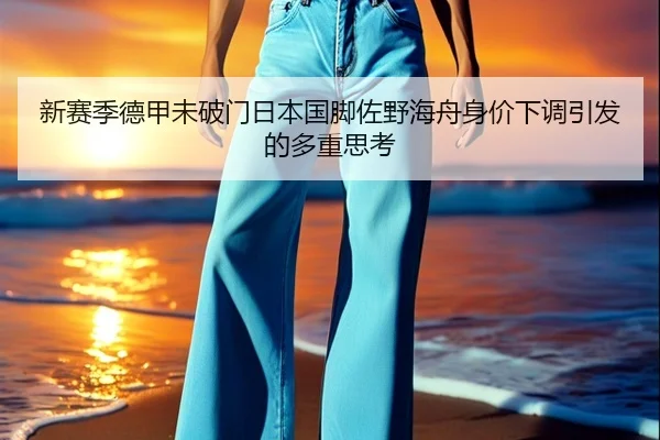新赛季德甲未破门日本国脚佐野海舟身价下调引发的多重思考（xingkong）